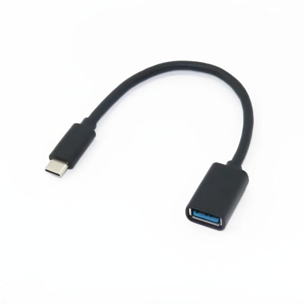 USB-C to USB 3.1 Adapter -- MotPoet