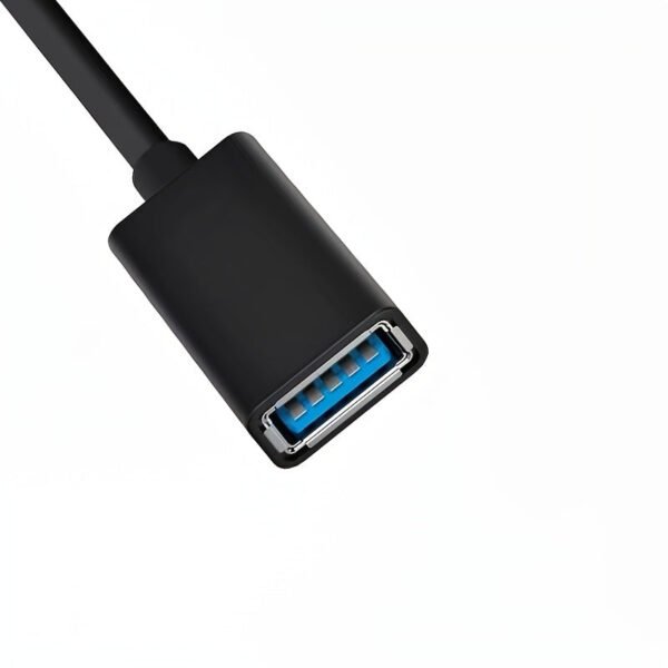 USB-C to USB 3.1 Adapter -- MotPoet