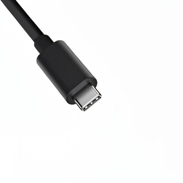 USB-C to USB 3.1 Adapter -- MotPoet